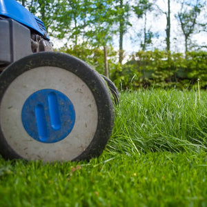 Lawn Maintenance