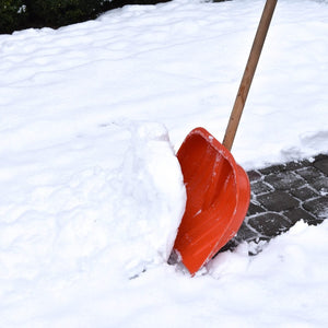 Snow Removal